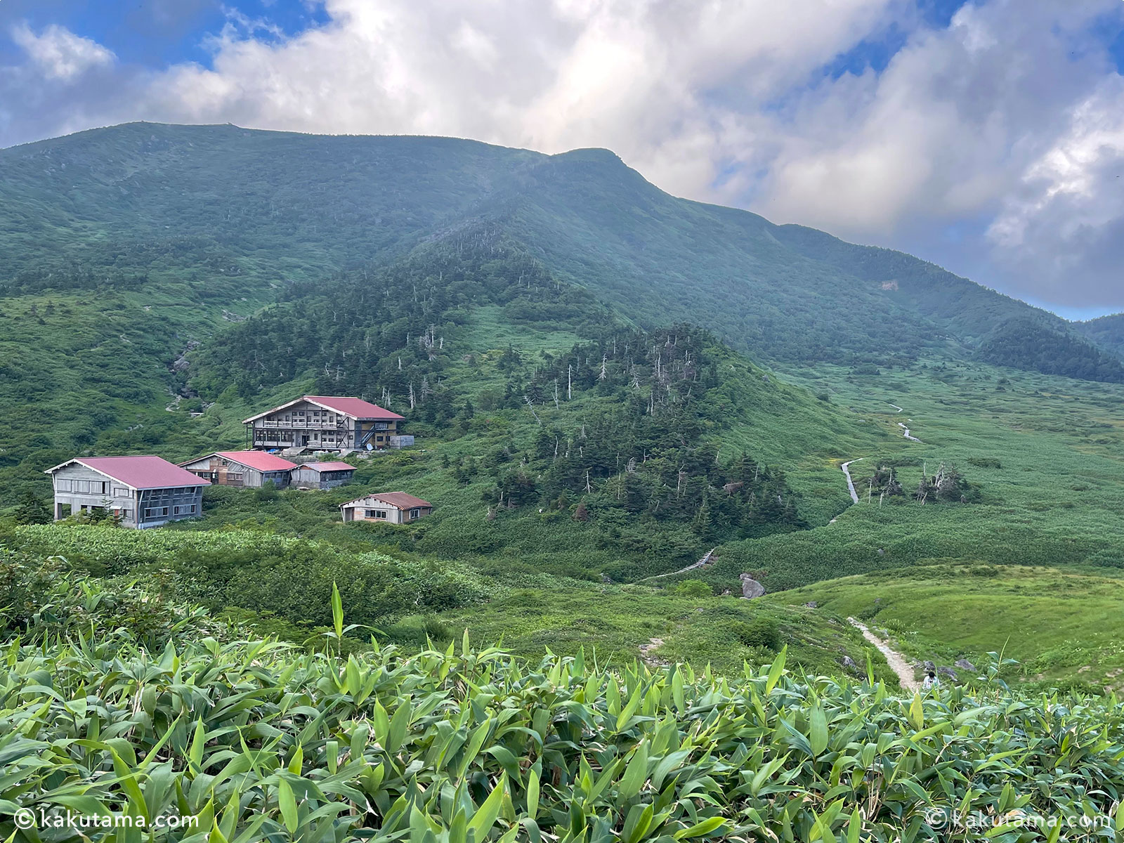 白山国立公園、南竜ヶ馬場野営場の入口から見た南竜山荘と白山方面の写真