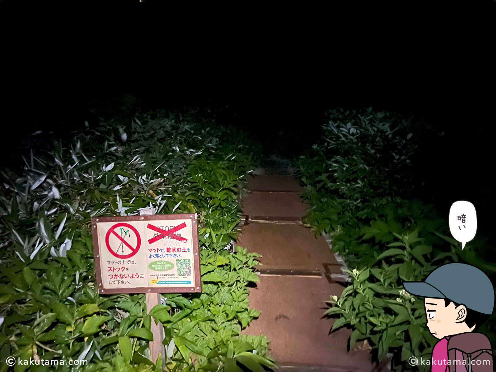 白山、南竜ヶ馬場野営場の木道の写真と登山者のイラスト