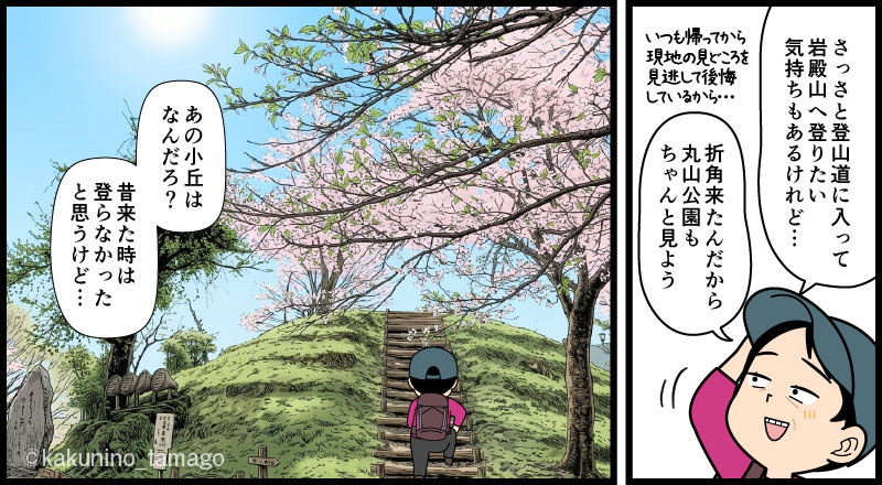 岩殿山登山口でもある丸山公園の桜を満喫する登山者のマンガとイラスト