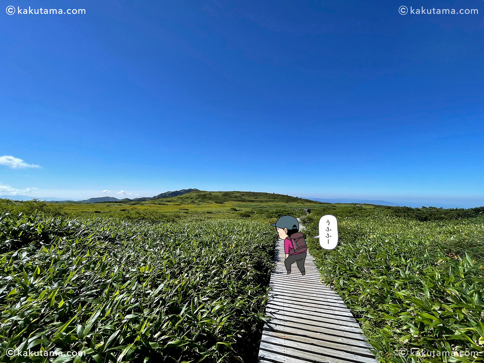 弥陀ヶ原の木道の写真と登山者のイラスト