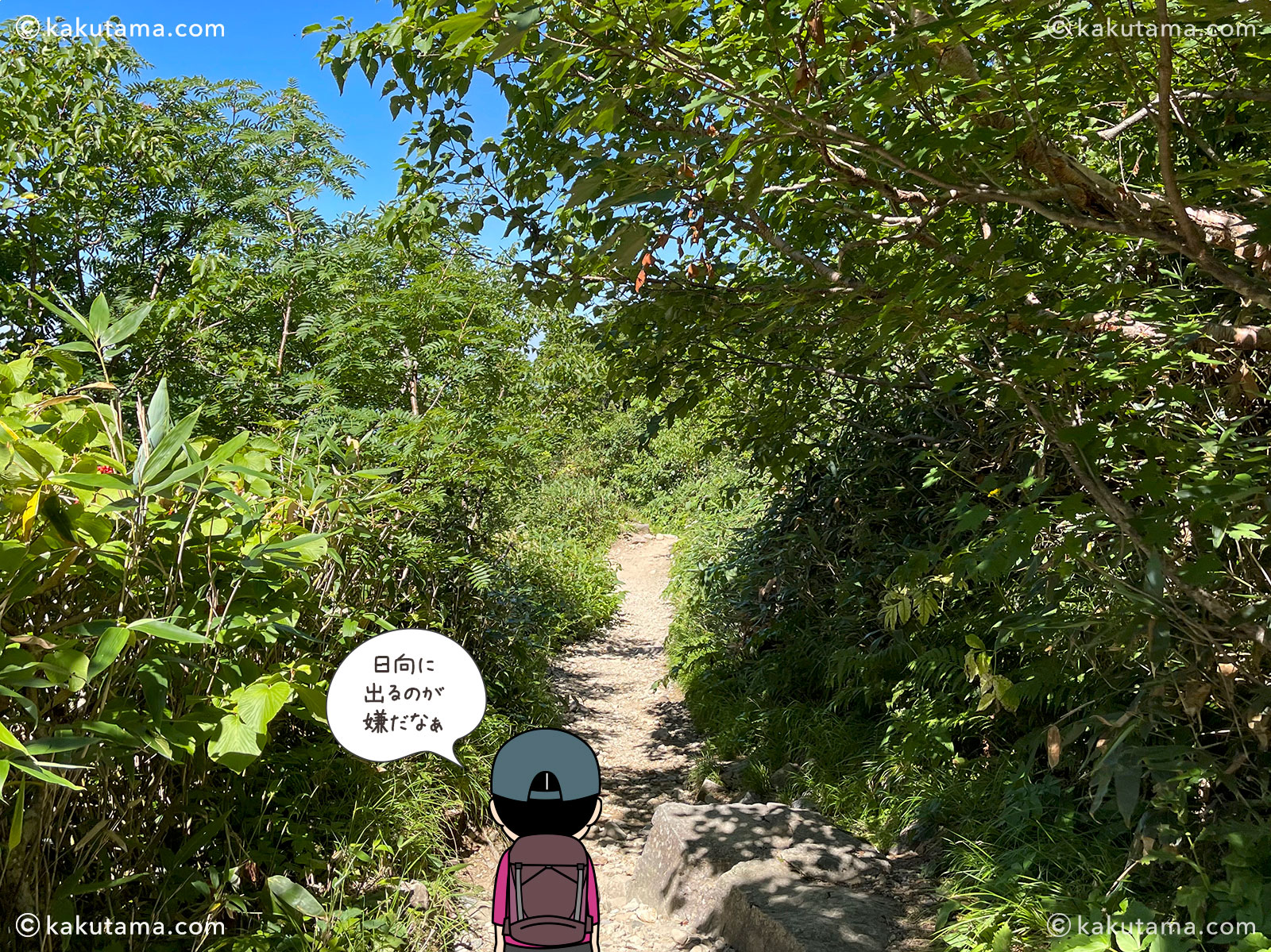 白山から砂坊新道方面の写真と登山者のイラスト