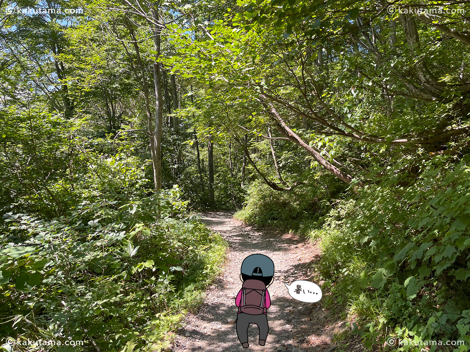 白山の砂坊新道の登山道写真と登山者のイラスト