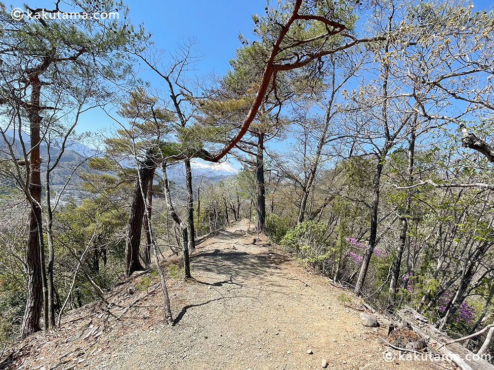 岩殿山、登山道の写真