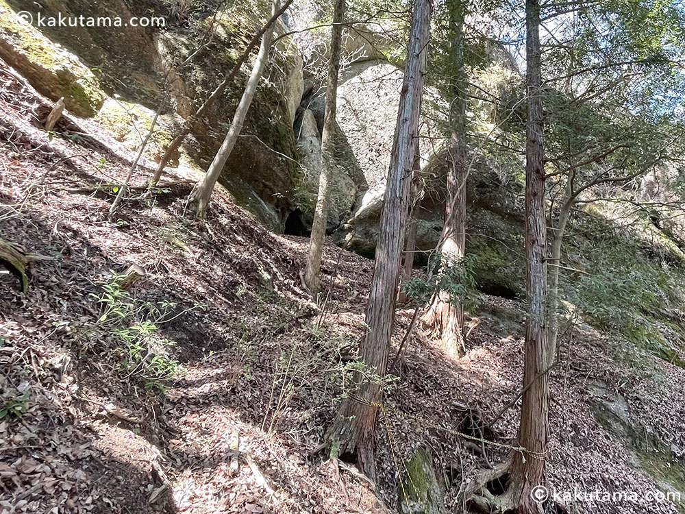 岩殿山・兜岩エリアの林間コースの写真