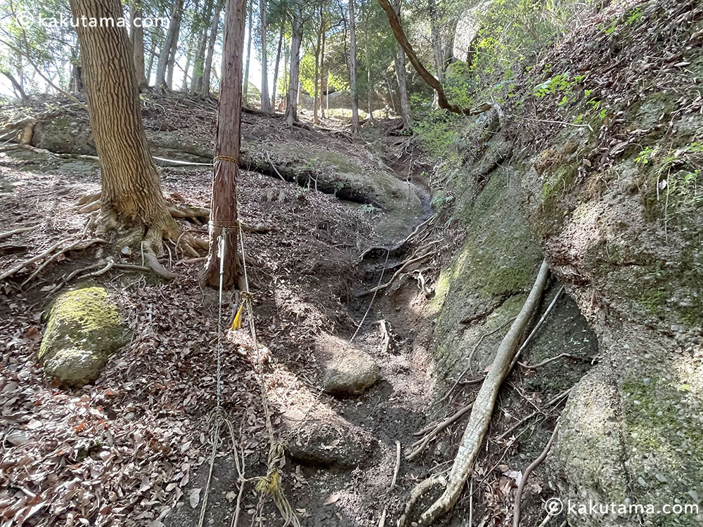 岩殿山・兜岩エリアの林間コースの写真