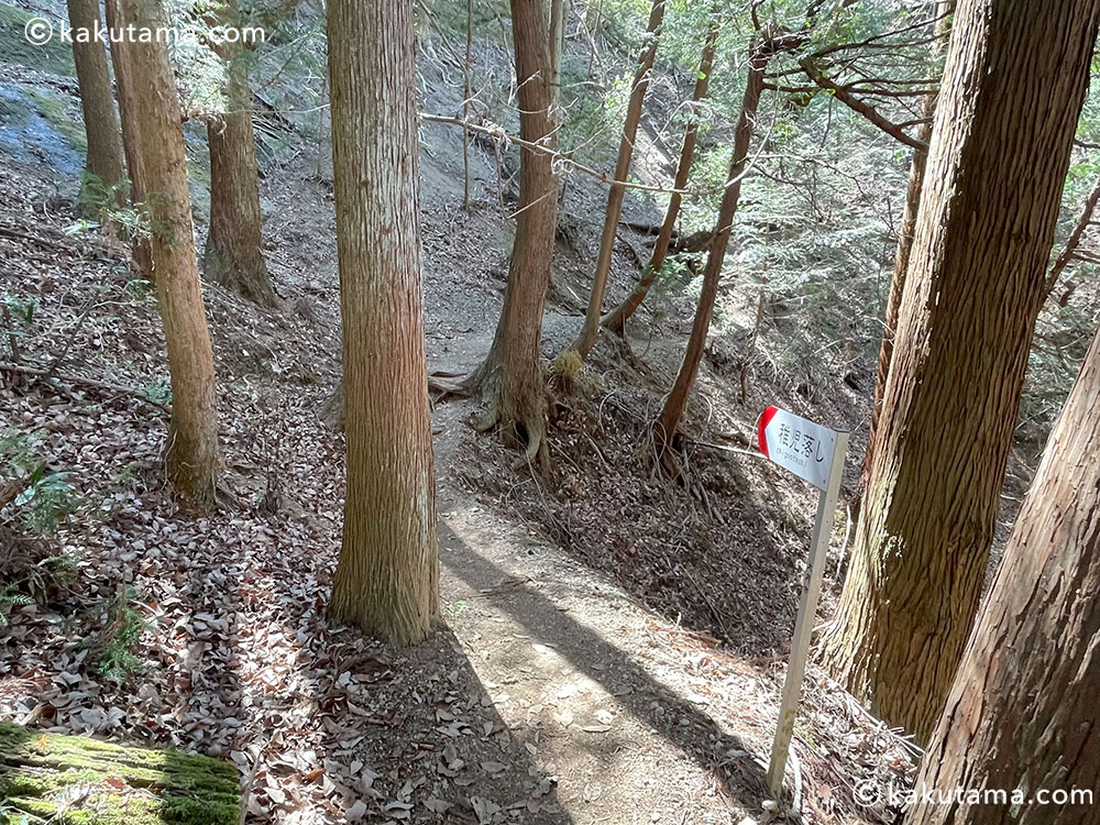 岩殿山・兜岩エリアの林間コースの写真