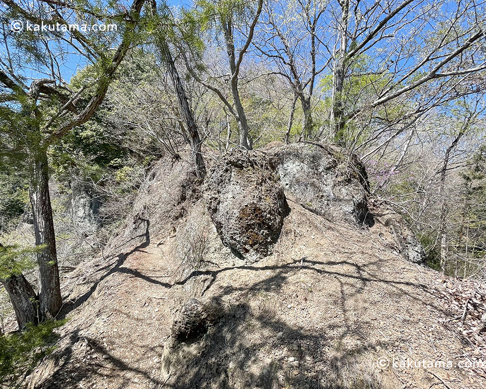 岩殿山・登山道の写真