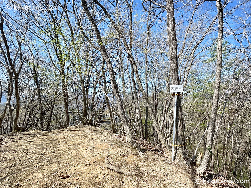 岩殿山天神山の写真