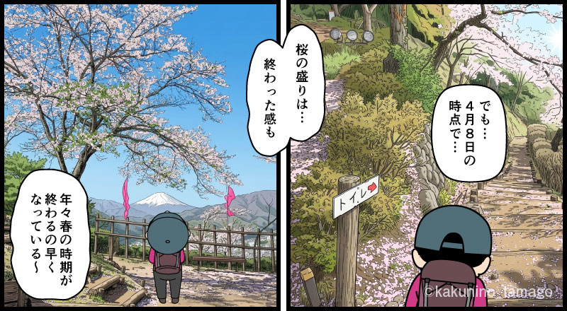 岩殿山登山口でもある丸山公園の桜を満喫する登山者のマンガとイラスト