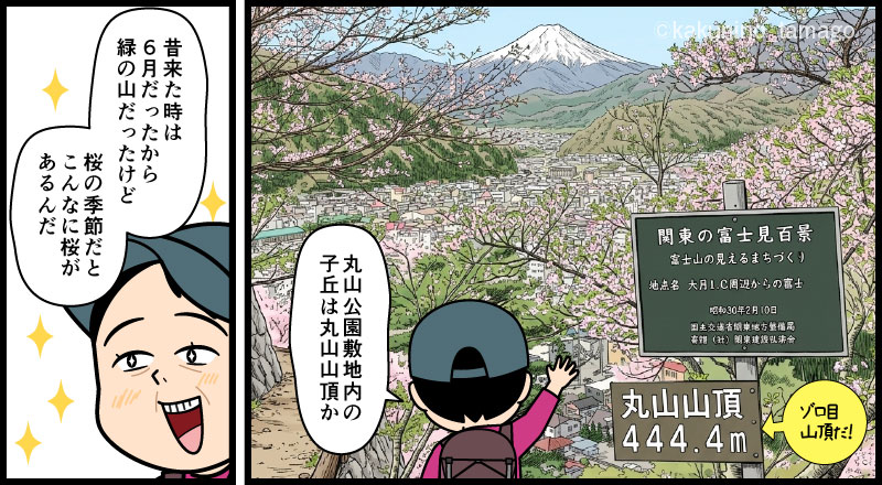 岩殿山登山口でもある丸山公園の桜を満喫する登山者のマンガとイラスト