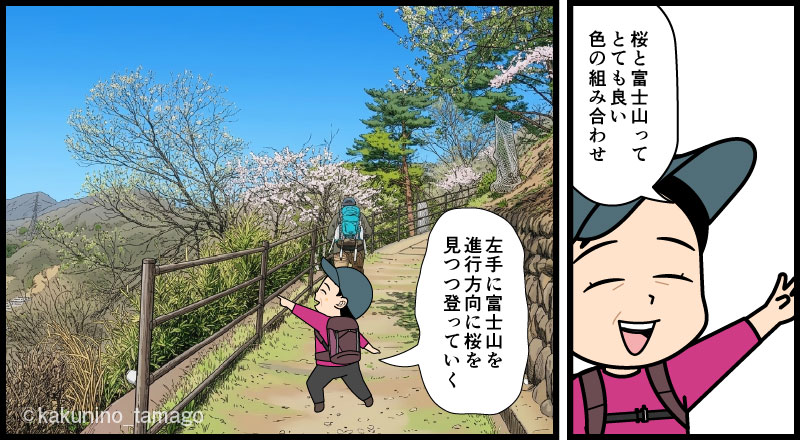 強瀬登山口から丸山公園へ向かって登る登山者が富士山と桜を見て喜ぶマンガとイラスト
