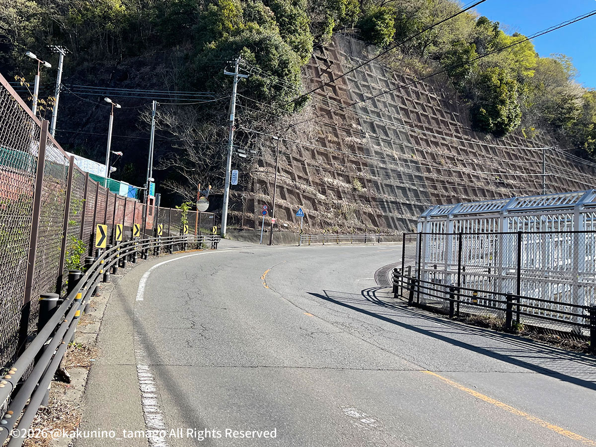 岩殿山手前の歩道の写真