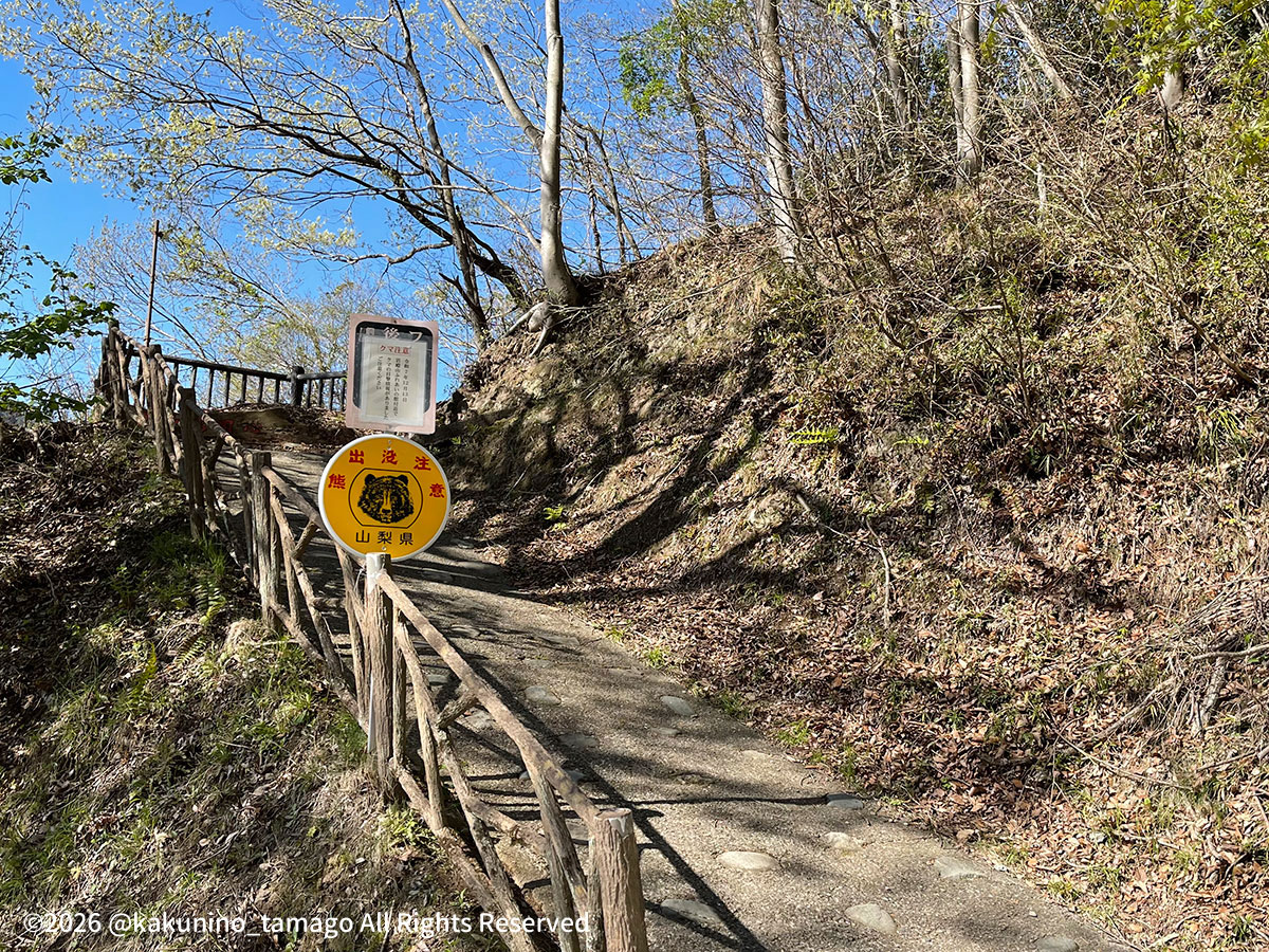 岩殿山・強瀬登山口から丸山公園への道の写真