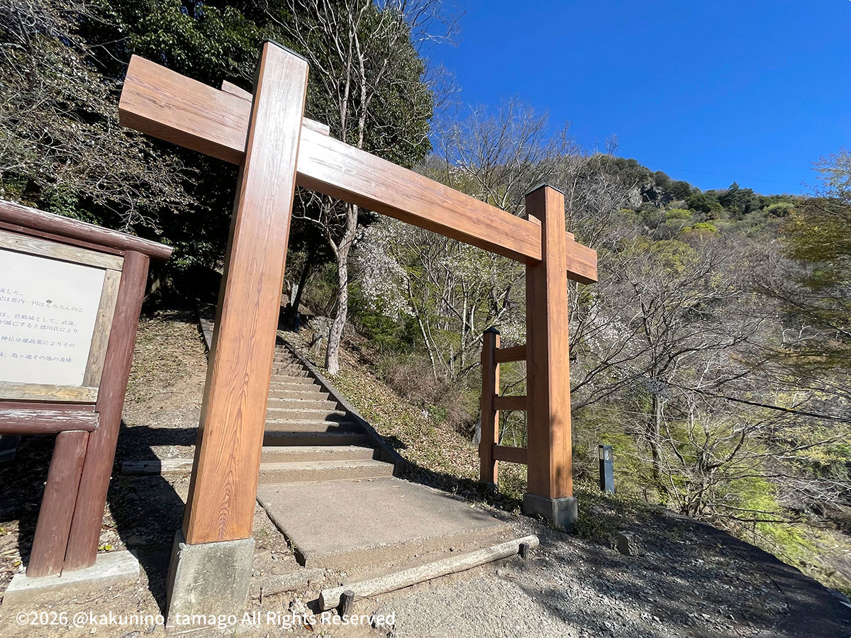岩殿山・強瀬登山口から丸山公園への道の写真