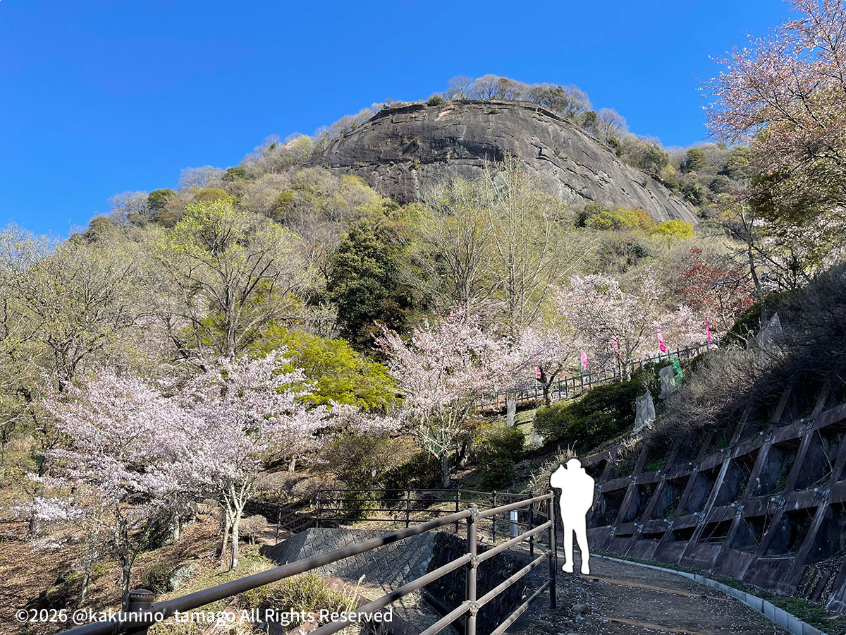 岩殿山・強瀬登山口から丸山公園への道の写真