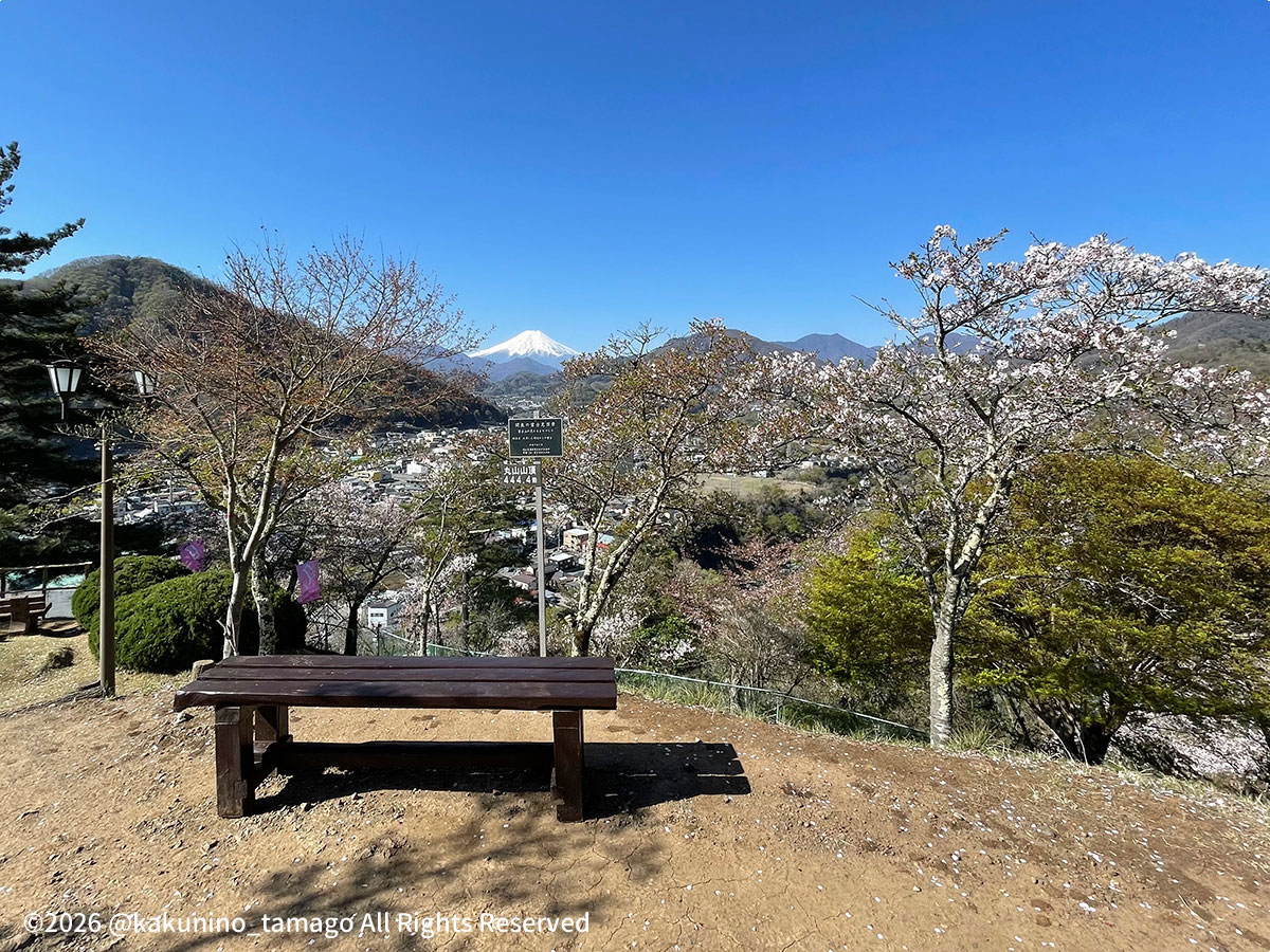 丸山公園の山頂の写真