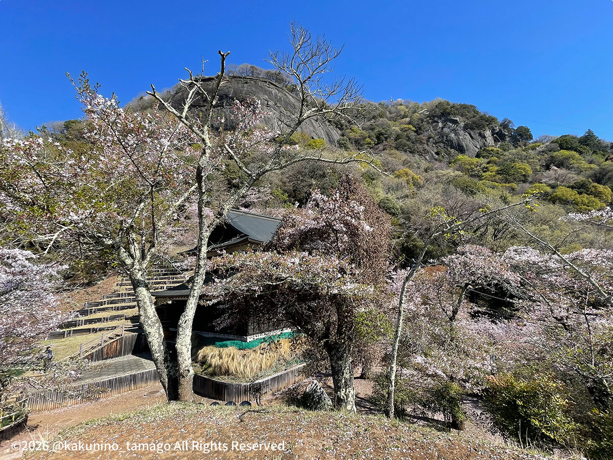 丸山公園の写真