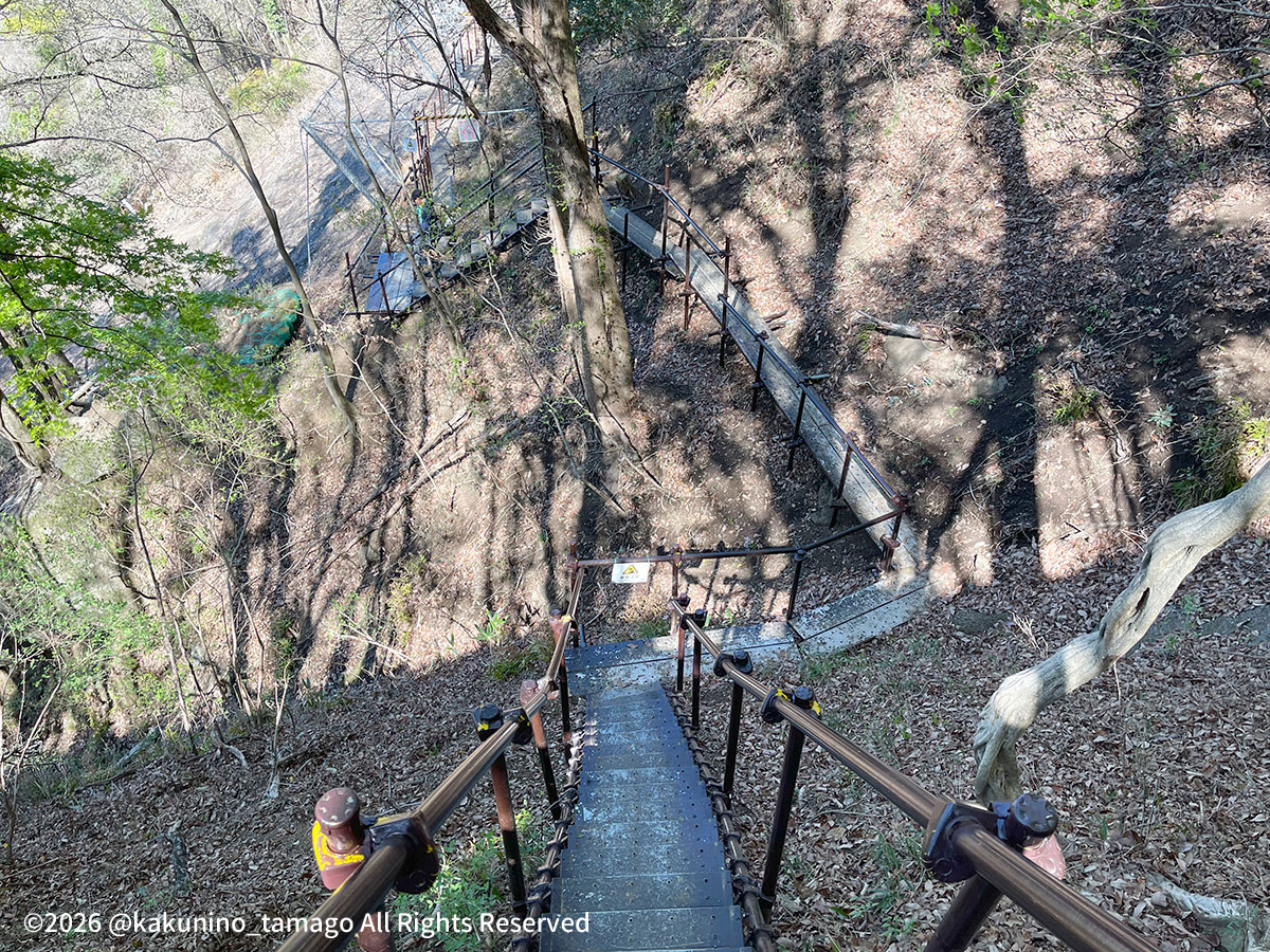 新・強瀬コースの迂回路の写真