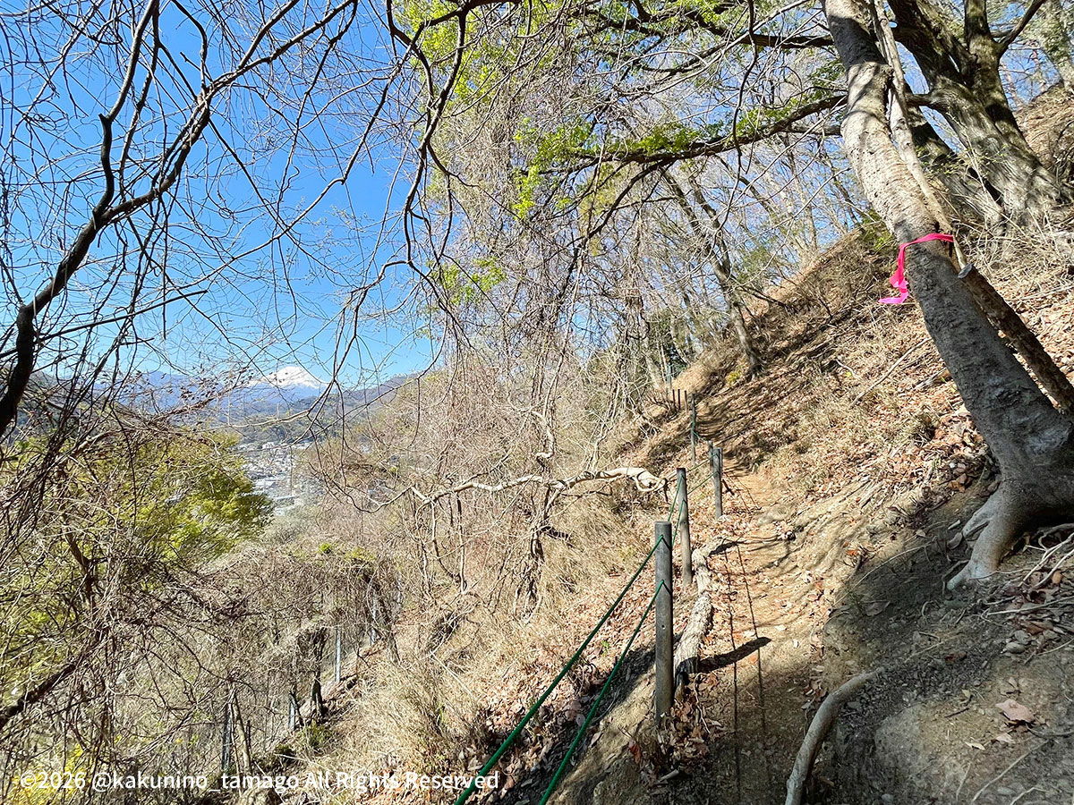 新・強瀬コースの迂回路と富士山の写真
