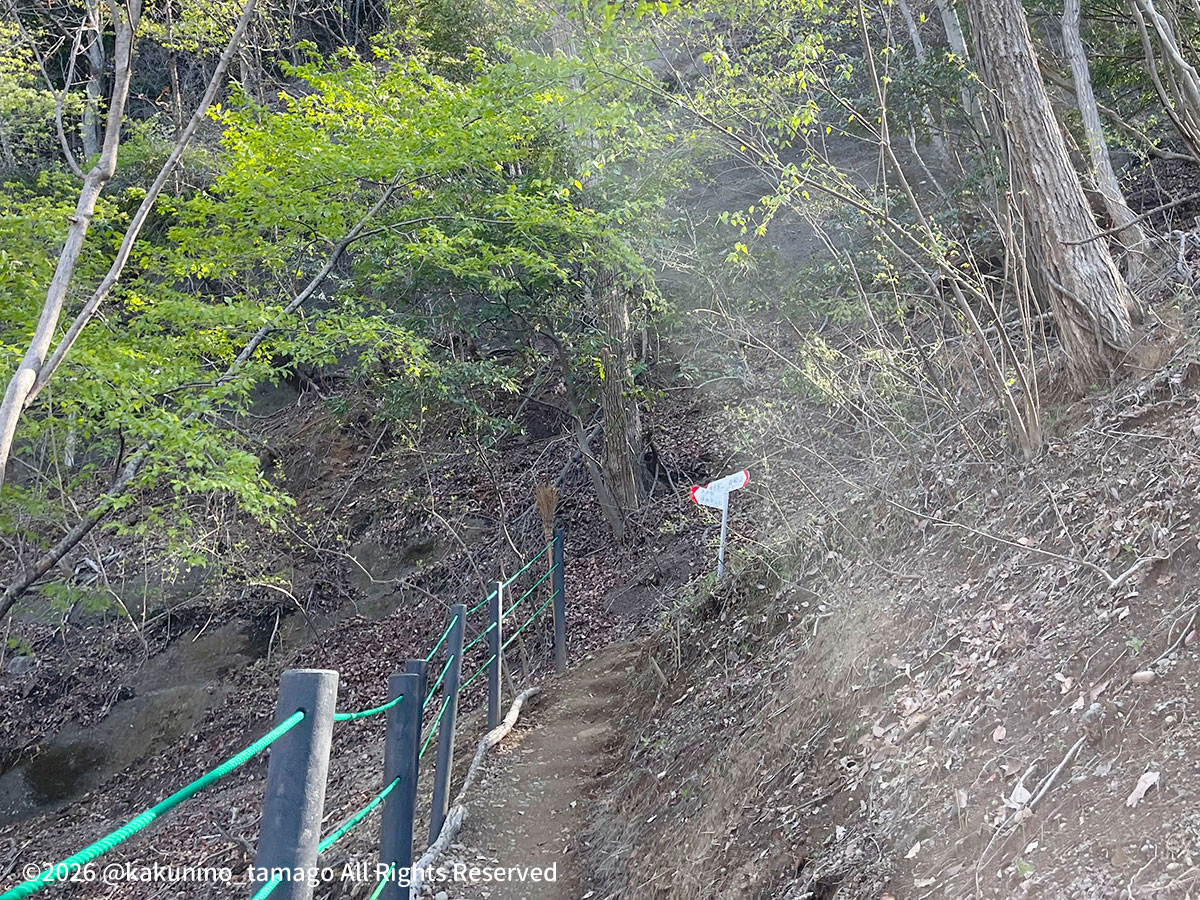 稚児落としと岩殿山の分岐点の写真