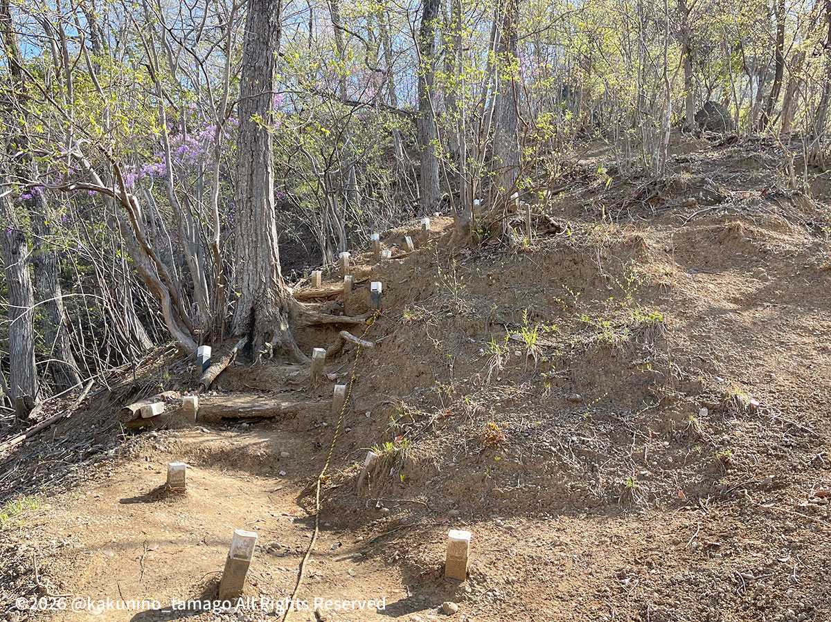岩殿山山頂への登山道の写真