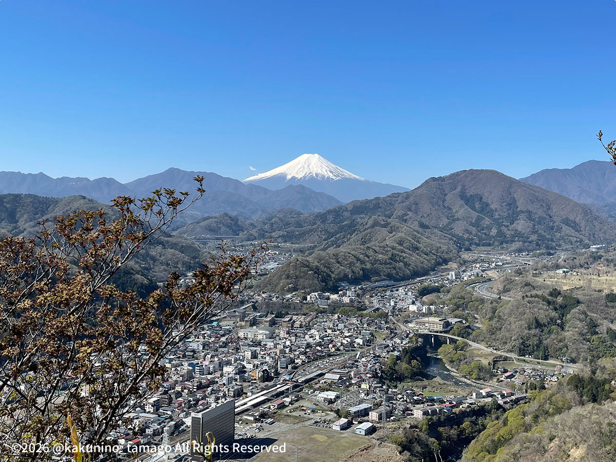 岩殿山山頂から見た富士山の写真