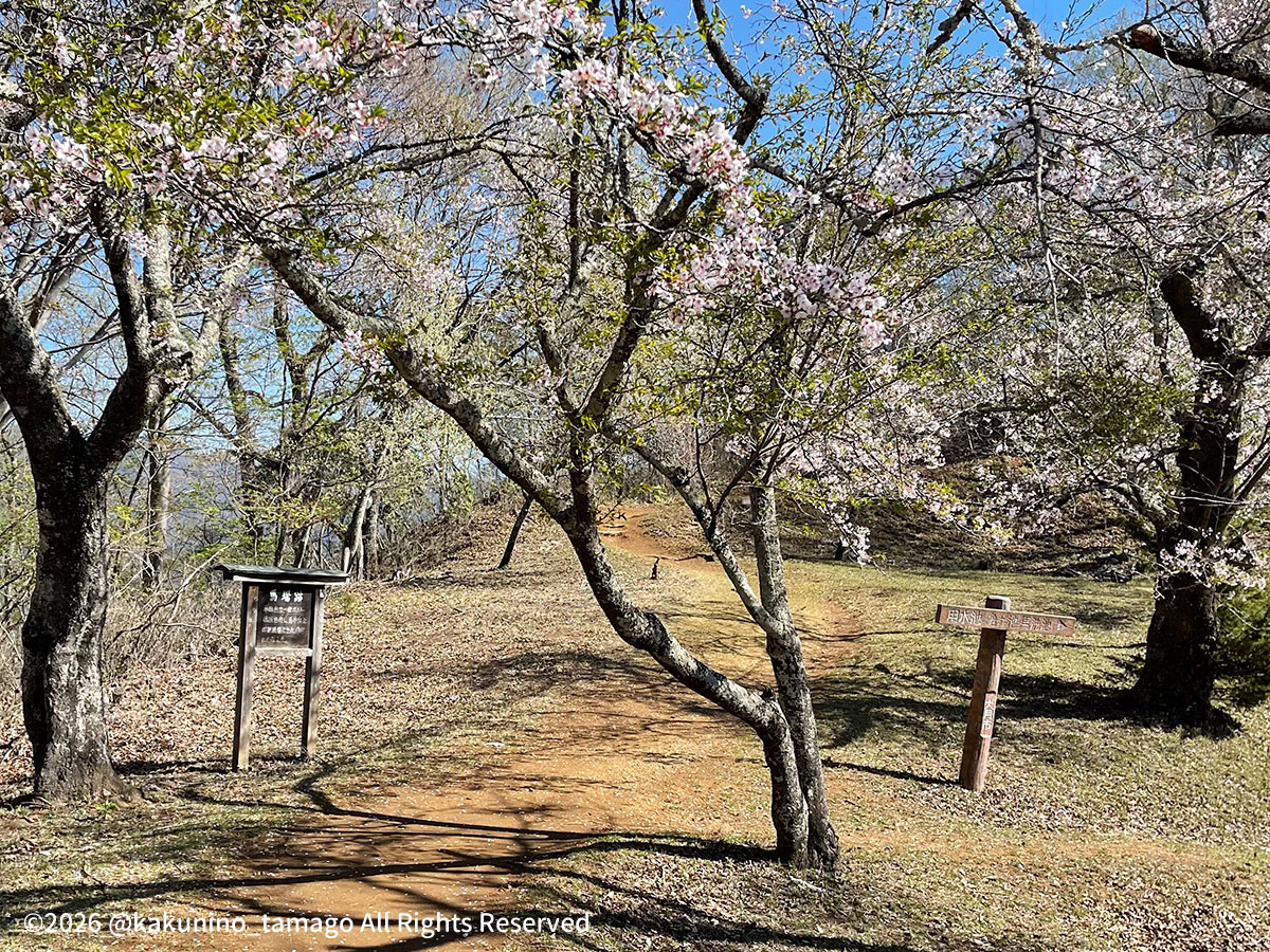 岩殿山山頂の岩殿城跡の写真