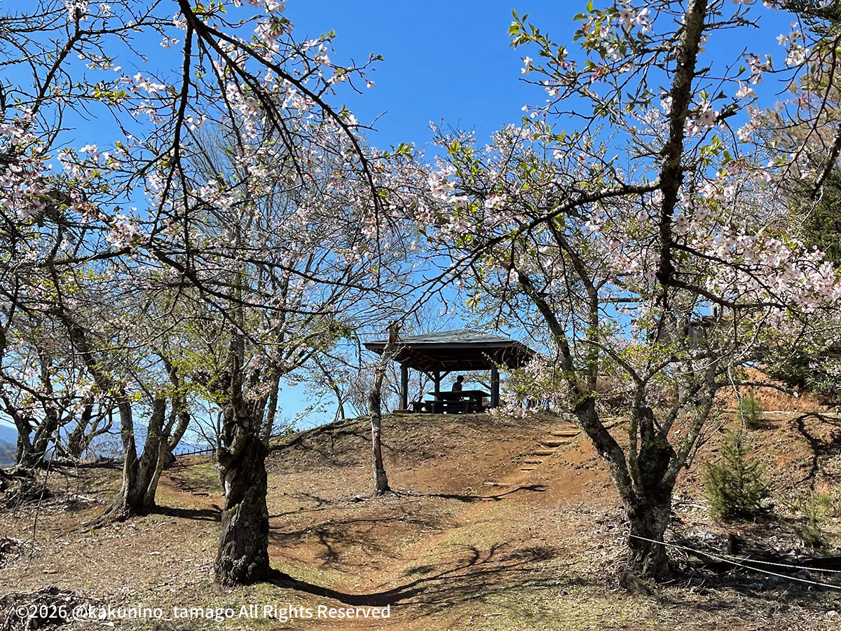 岩殿山山頂の東屋の写真