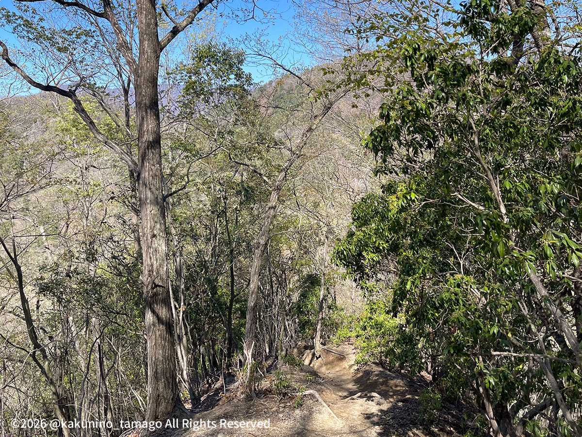 岩殿山稚児落とし方面への登山道の写真