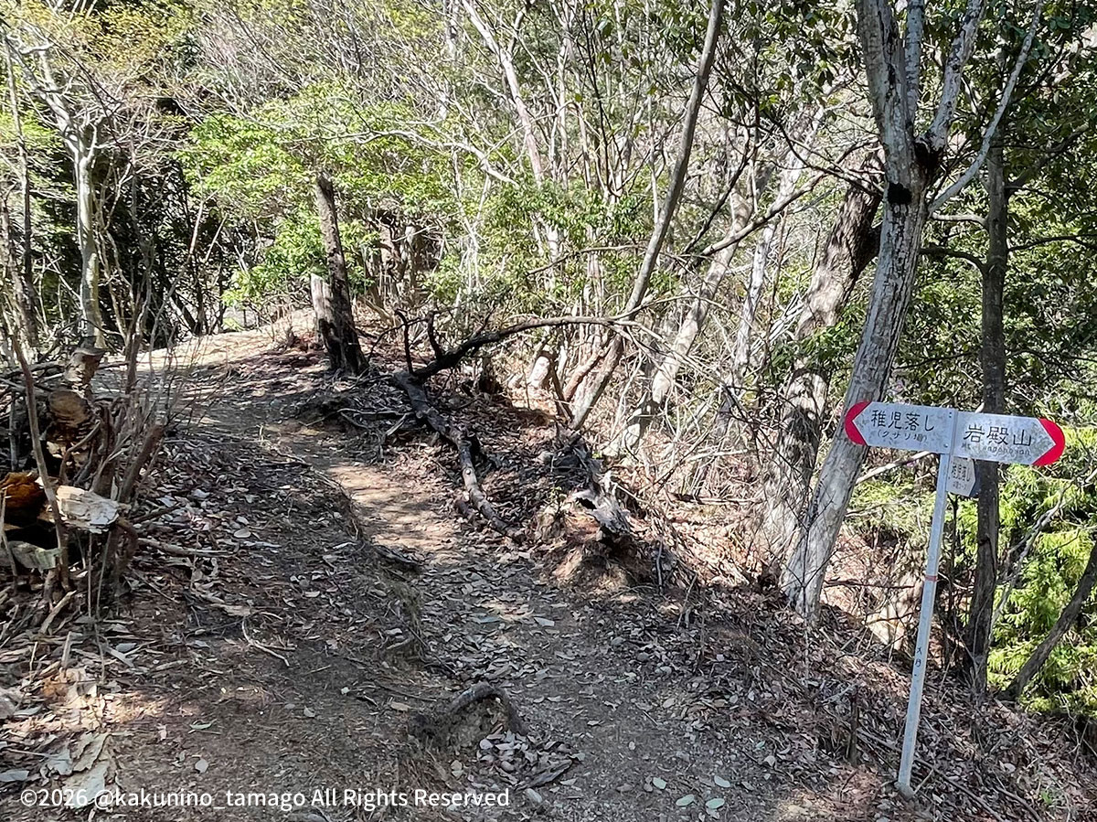 岩殿山稚児落とし方面の鎖場ルートへの登山道の写真