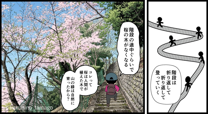 岩殿山・丸山公園から強瀬コースを目指して登り始めた登山者のマンガとイラスト