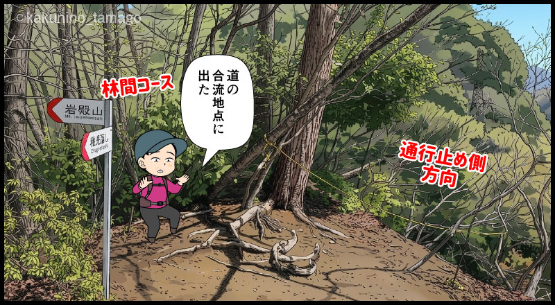 岩殿山・兜岩エリア林間コースを歩く登山者の漫画とイラスト