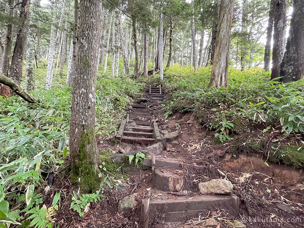 上高地から入った中尾根ルートの写真