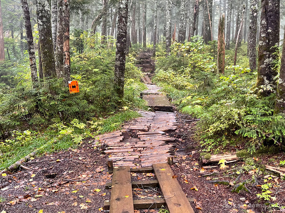 上高地から入った中尾根ルートと道標の写真
