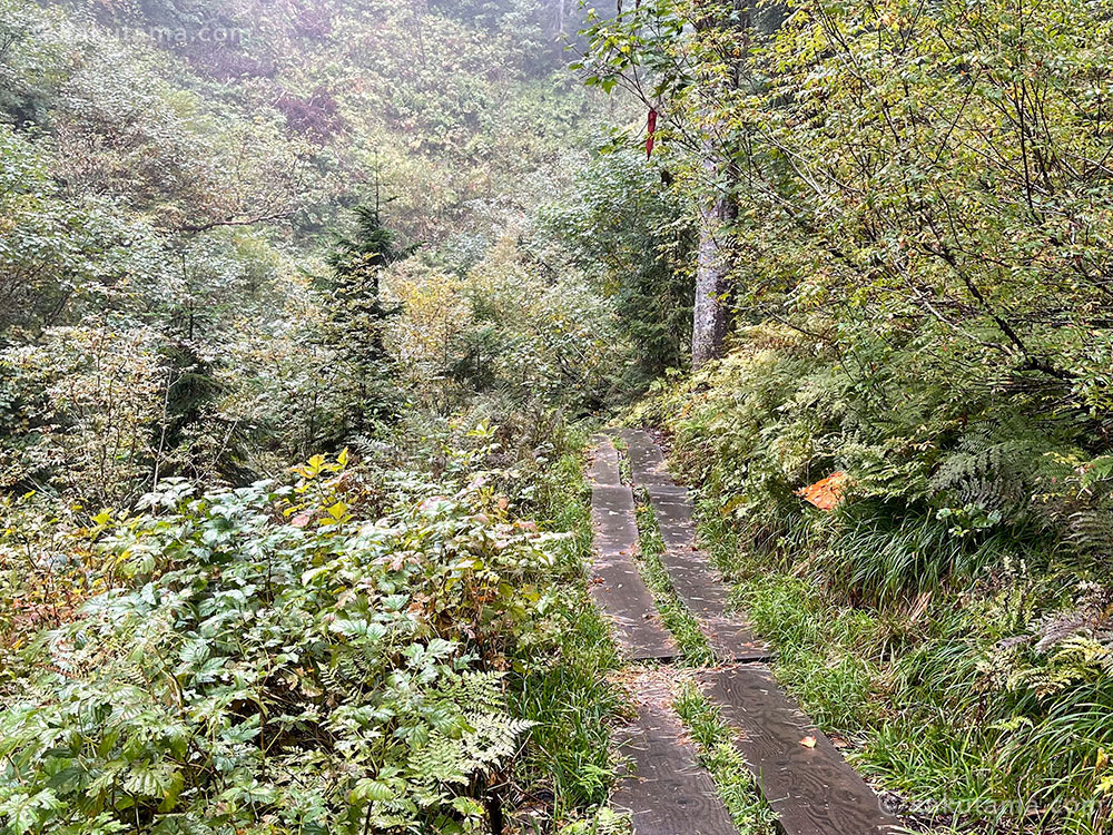 上高地から入った中尾根ルートの写真