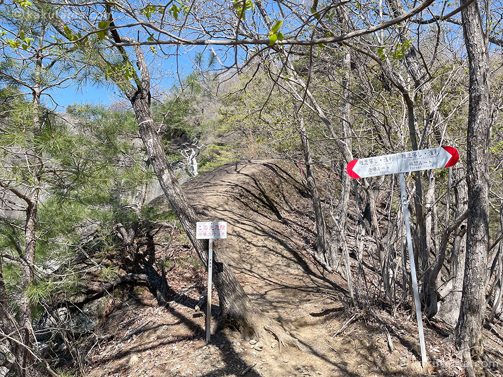 稚児落としの岩場ルートと林間ルートの分岐点の写真