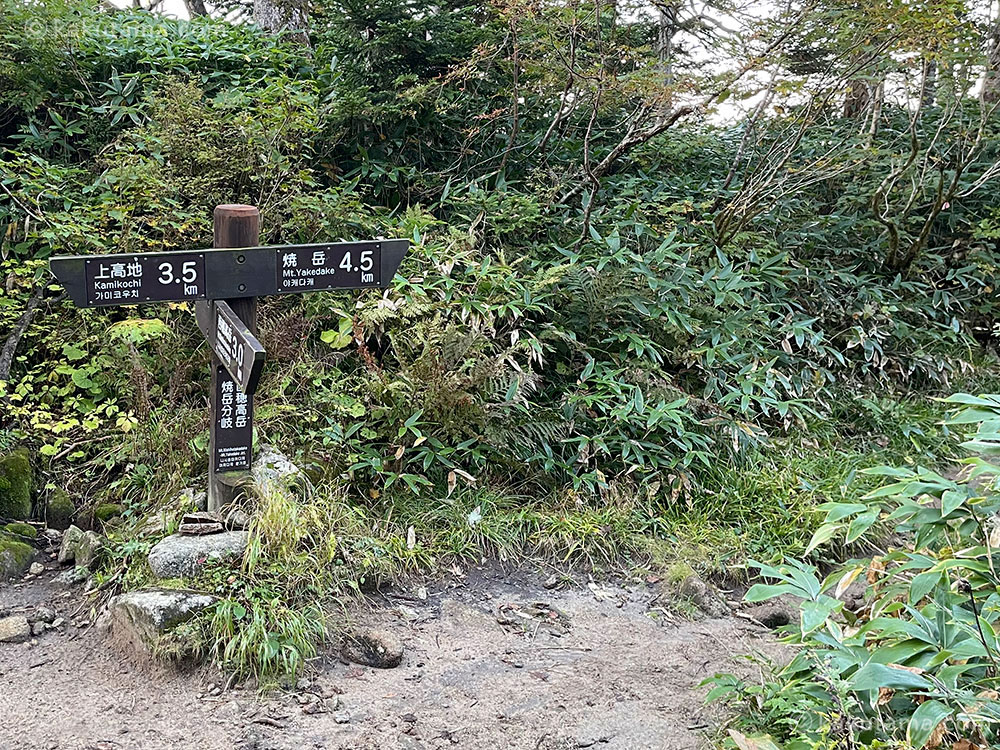 北アルプス、焼岳分岐点の写真
