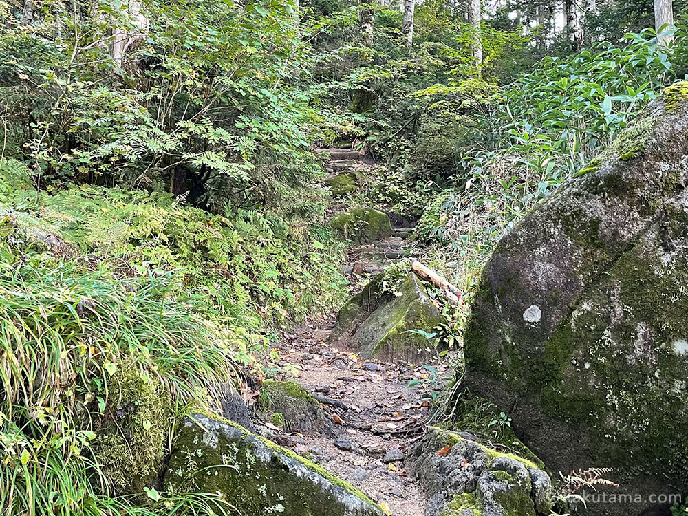 北アルプス、西穂焼岳縦走路の写真