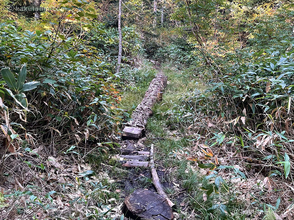 北アルプス、西穂焼岳縦走路の写真