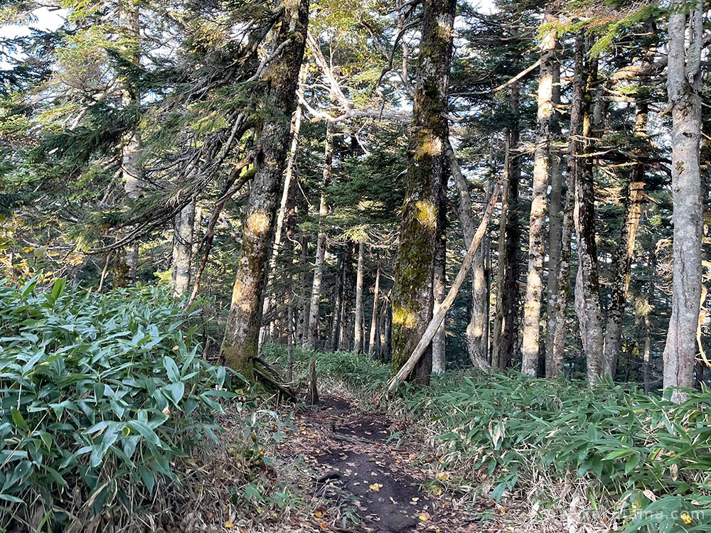 北アルプス、西穂焼岳縦走路の写真