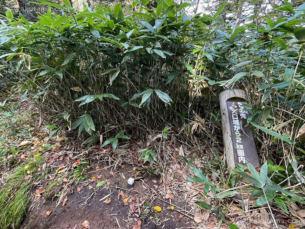 北アルプス、西穂焼岳縦走路の火口域から2km圏内の写真