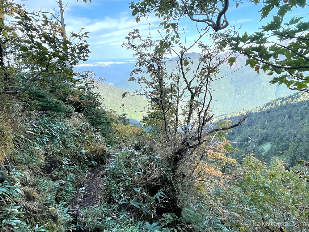 北アルプス、西穂焼岳縦走路の写真