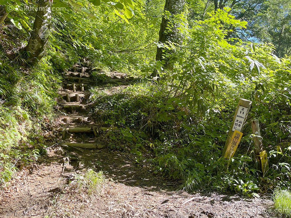 雨飾高原キャンプ場からの登山道の写真