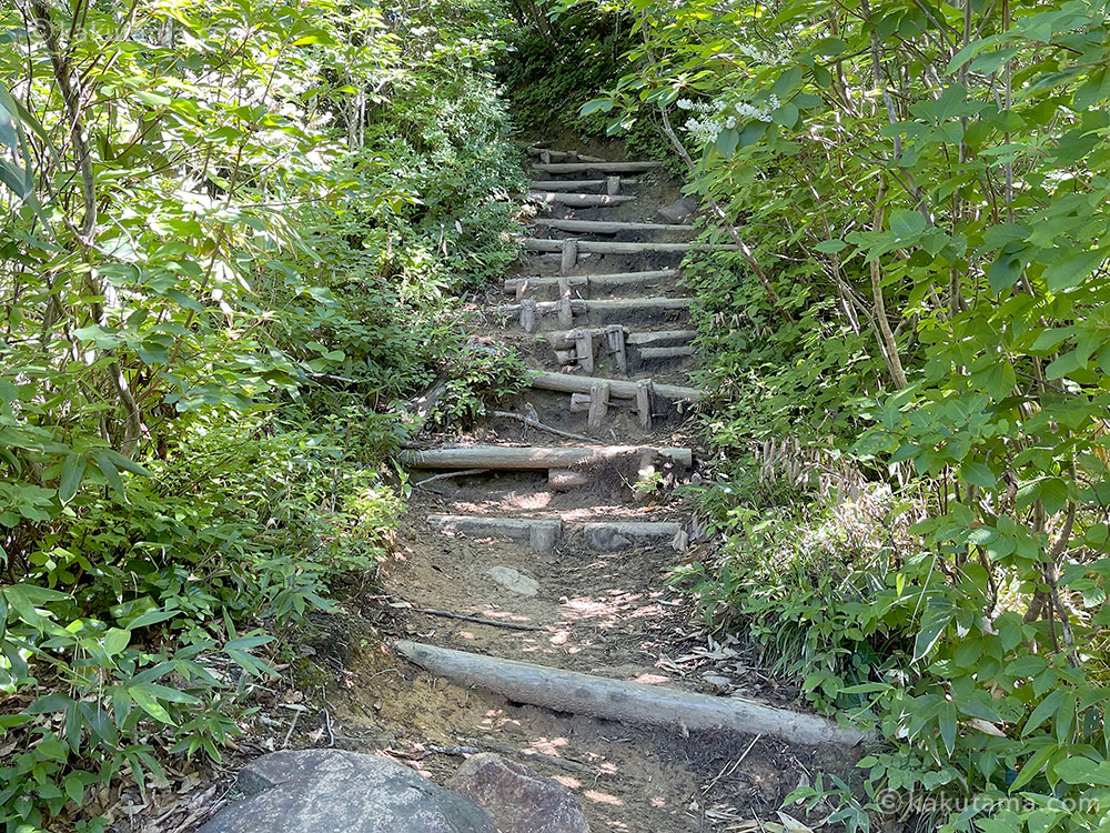 雨飾山への登山道の写真