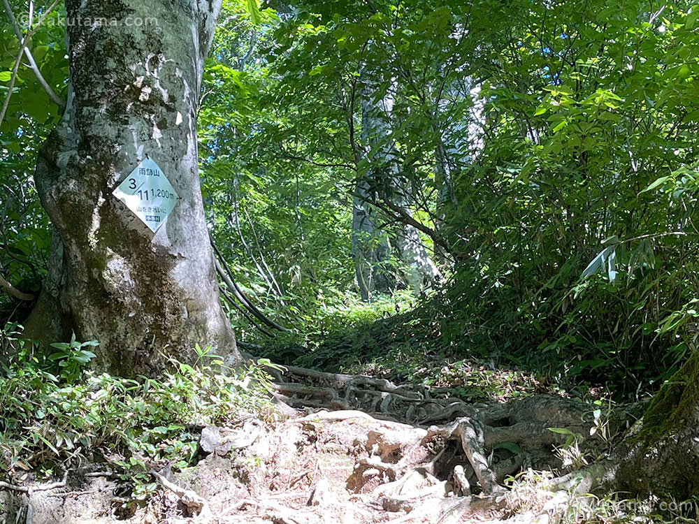 雨飾山の道標と登山道
