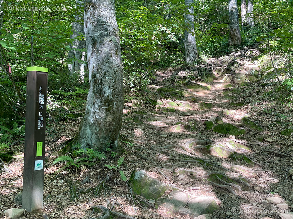 雨飾山の道標と登山道