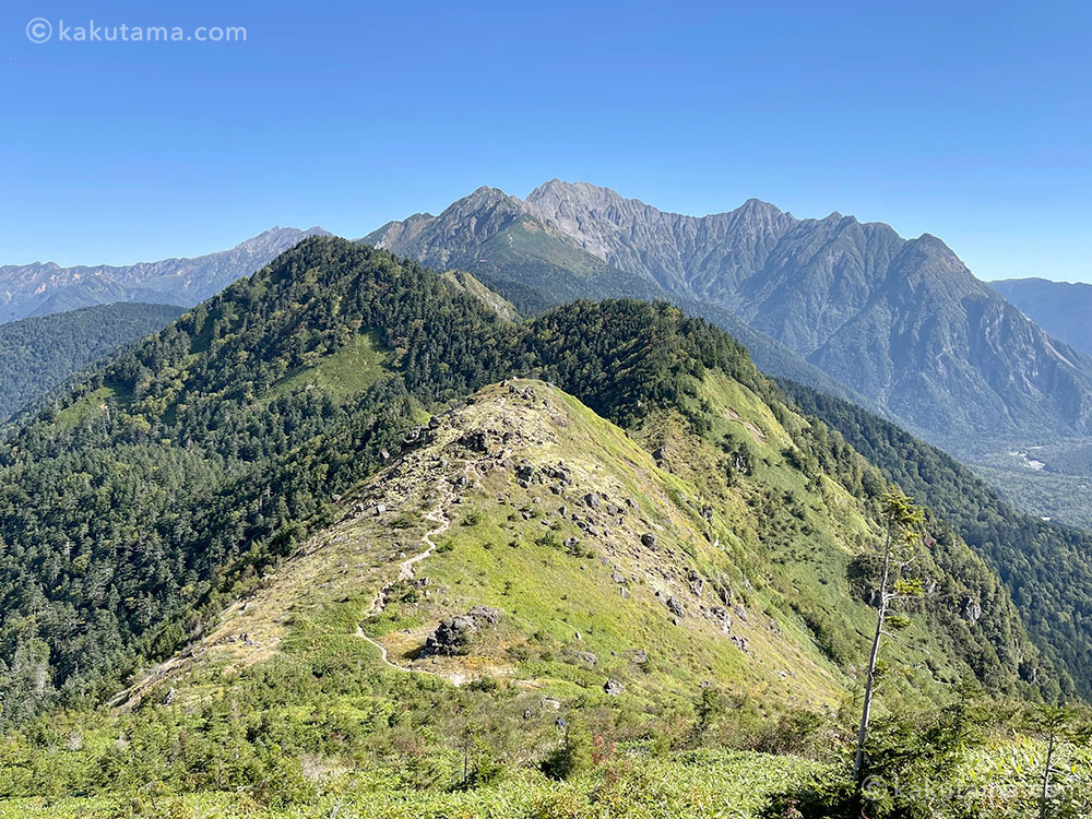 焼岳への登山道から振り返ってみた西穂焼岳方面の写真