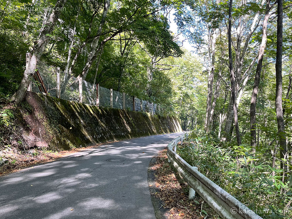 焼岳登山口から中の湯バス停に向かう途中の写真