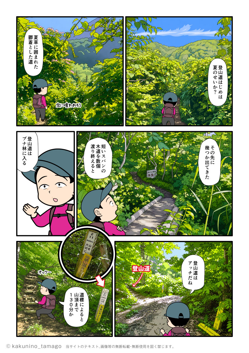 雨飾高原キャンプ場から雨飾山山頂を目指して登山を開始した登山者の漫画とイラスト