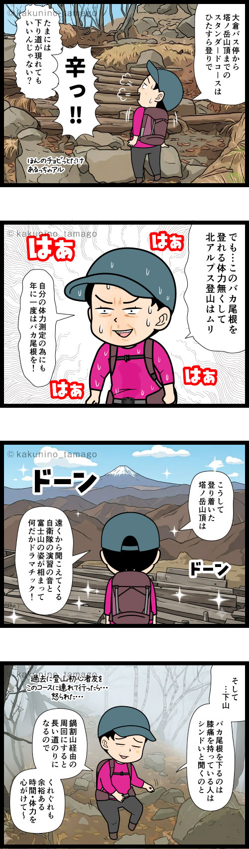 【塔ノ岳】登山の感想4コママンガ